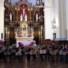 IMG_1164