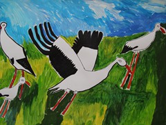 Paweł Słomski (6)