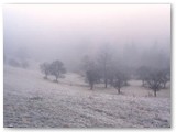 beskid4