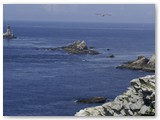 francja03