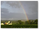 francja17