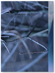 u1w