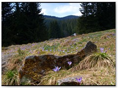 02tatry