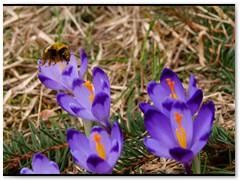 10tatry