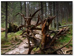 24tatry