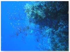 MACIEJ KOZŁOWSKI – „UNDERWATER”