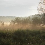 ŁUKASZ GRAMSCH