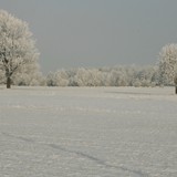 ŁUKASZ GRAMSCH