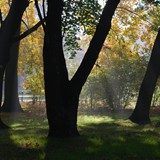OLA BIŃCZYK 10