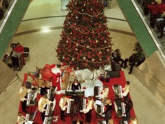 orffa200307