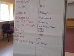 341513193_209764618461692_8907636419181774829_n