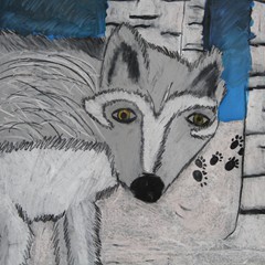 Zofia Tausz Sicińska