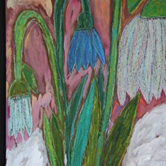 Emilia Banachowicz (26)