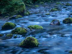3 Wieczorową porą w Dolinie Kościeliskiej. Tatry. 2012-07