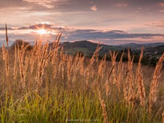 5 W blasku gorejącego słońca. Gorce. 2013-09